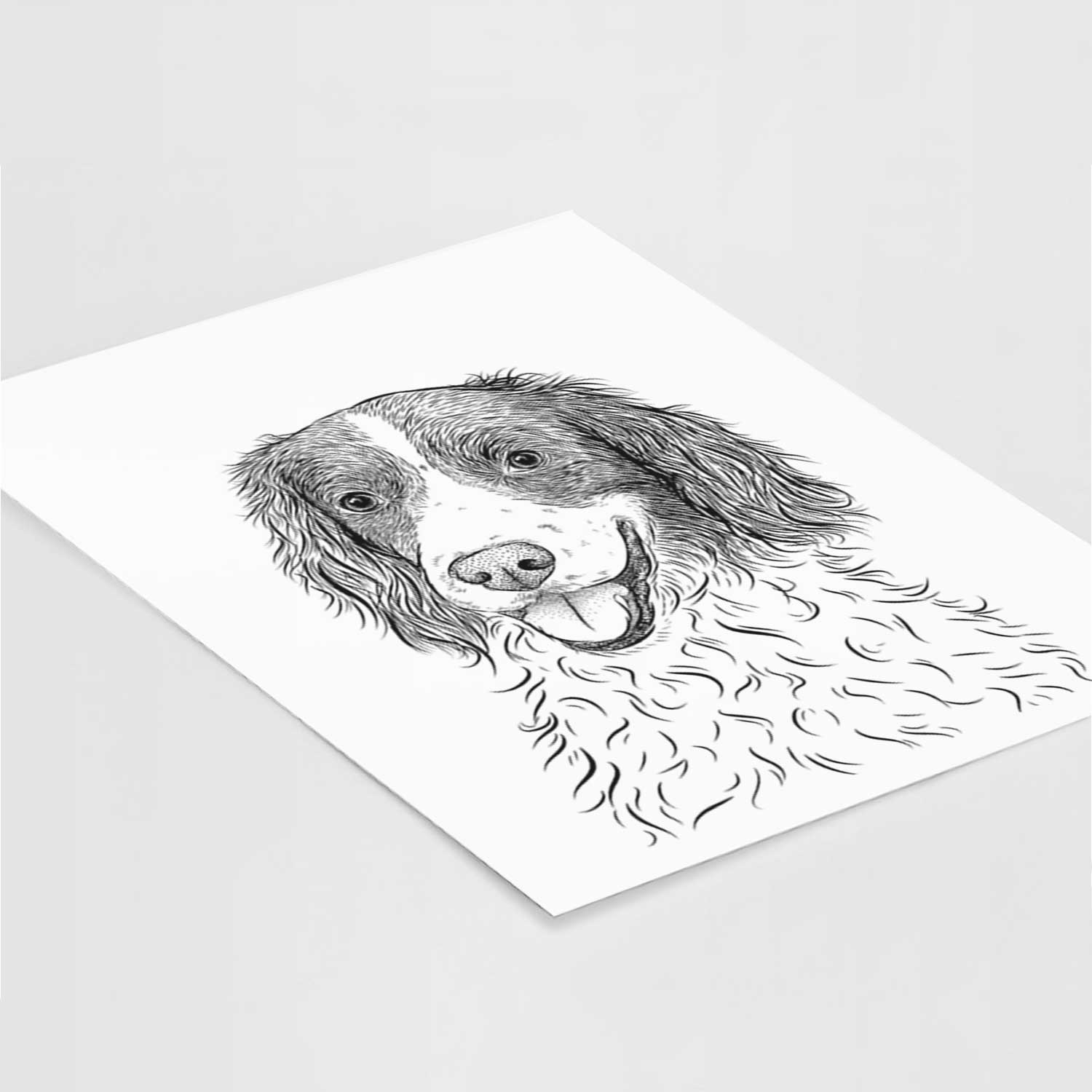Maggie the Springer Spaniel Art Print