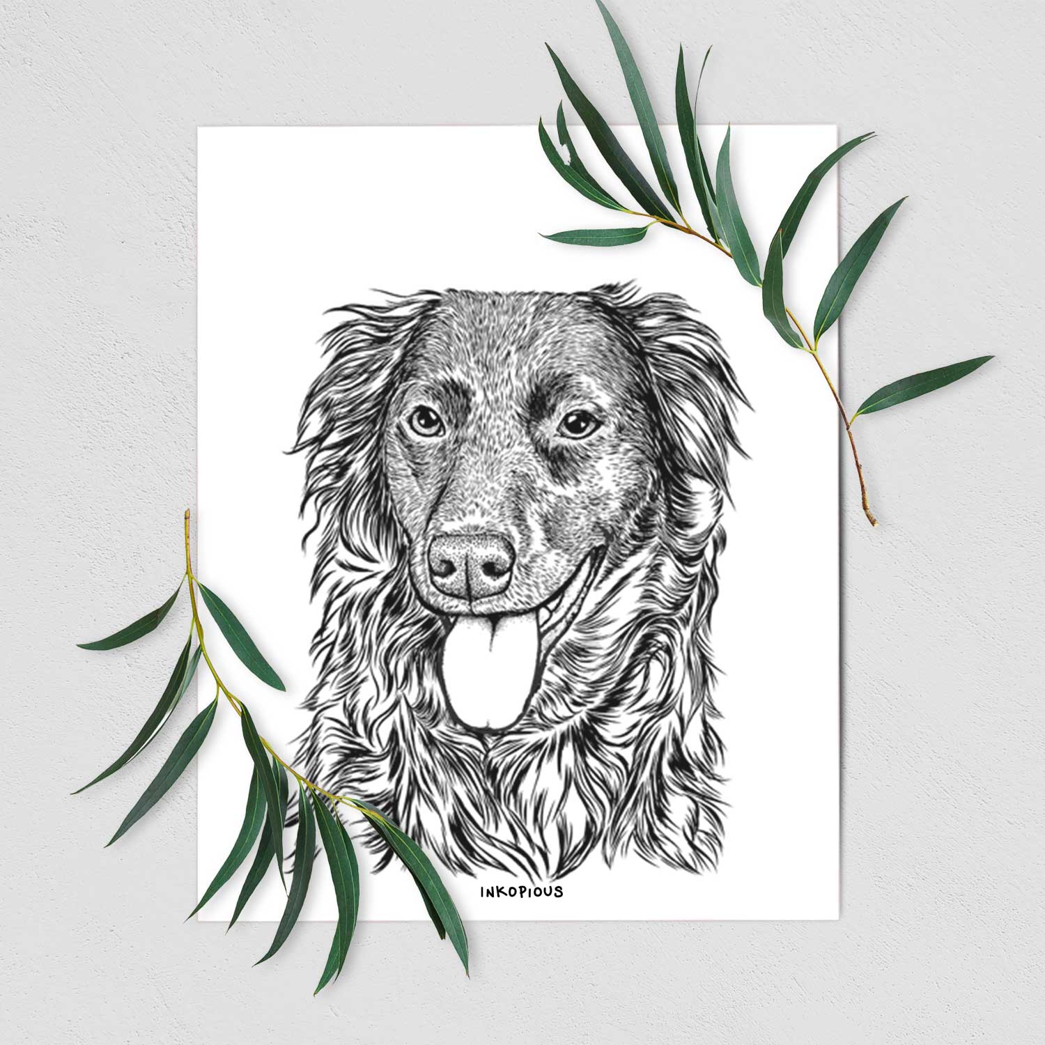 Maisie Mae the Aussiedor Art Print