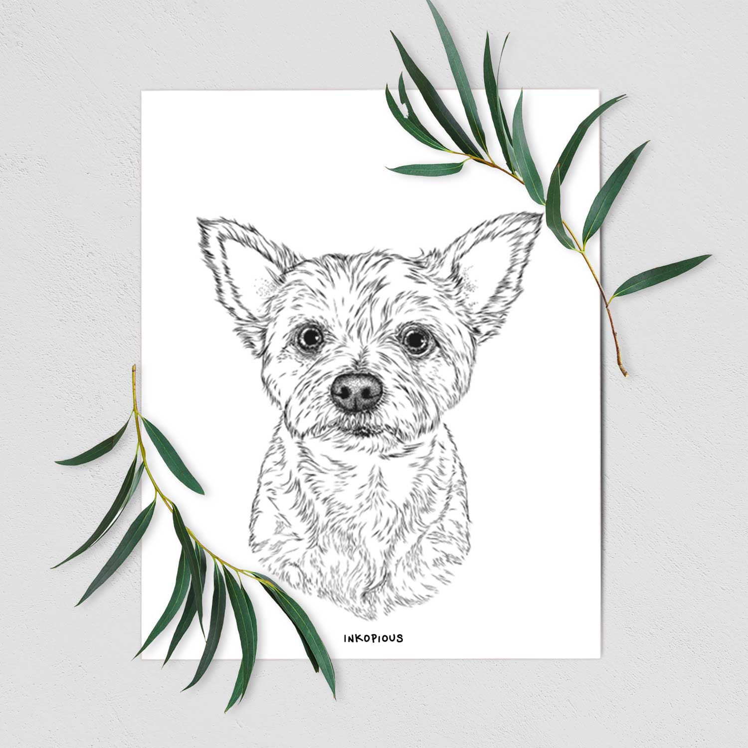 Mango the Yorker Cairn Terrier Art Print