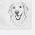 Maple the Golden Retriever Decorative Hand Towel