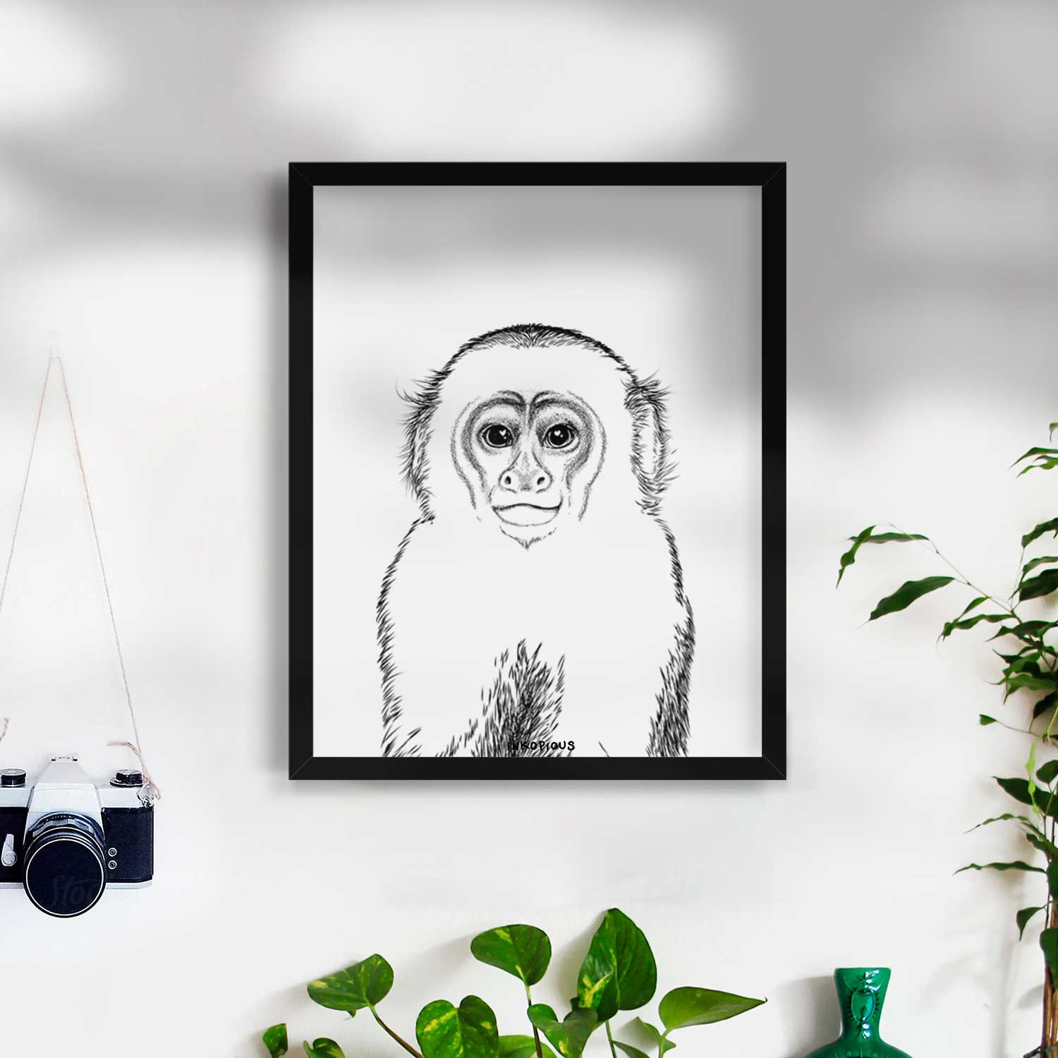 Marcel the Capuchin Monkey Art Print