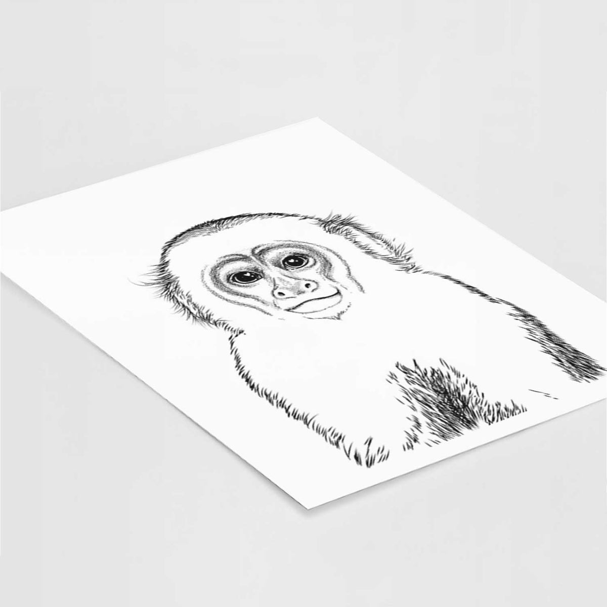 Marcel the Capuchin Monkey Art Print