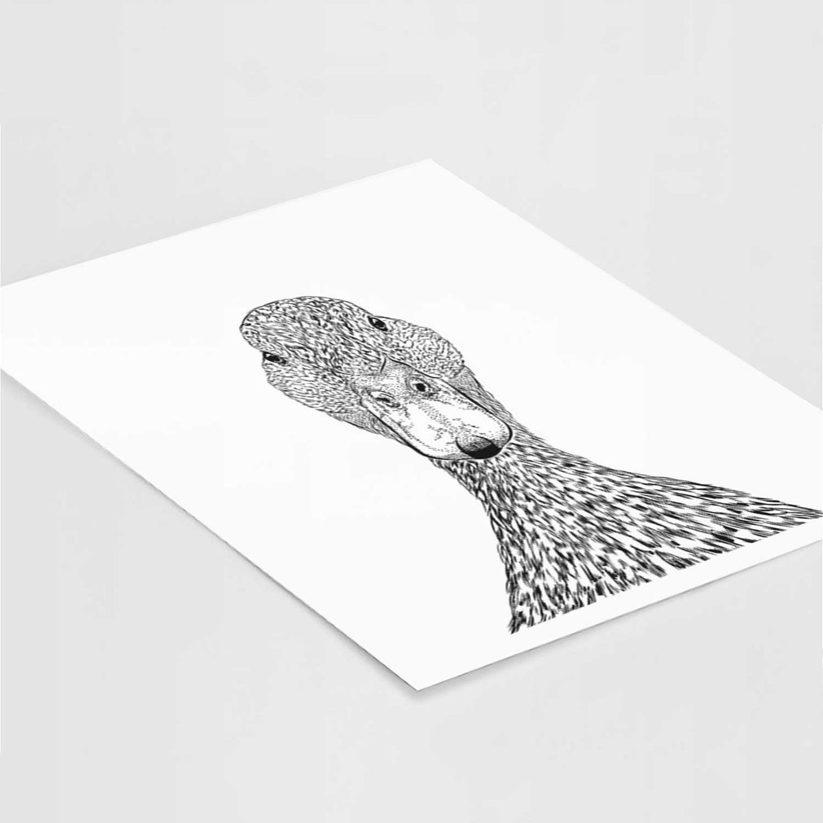 Marge the Mallard Duck Art Print