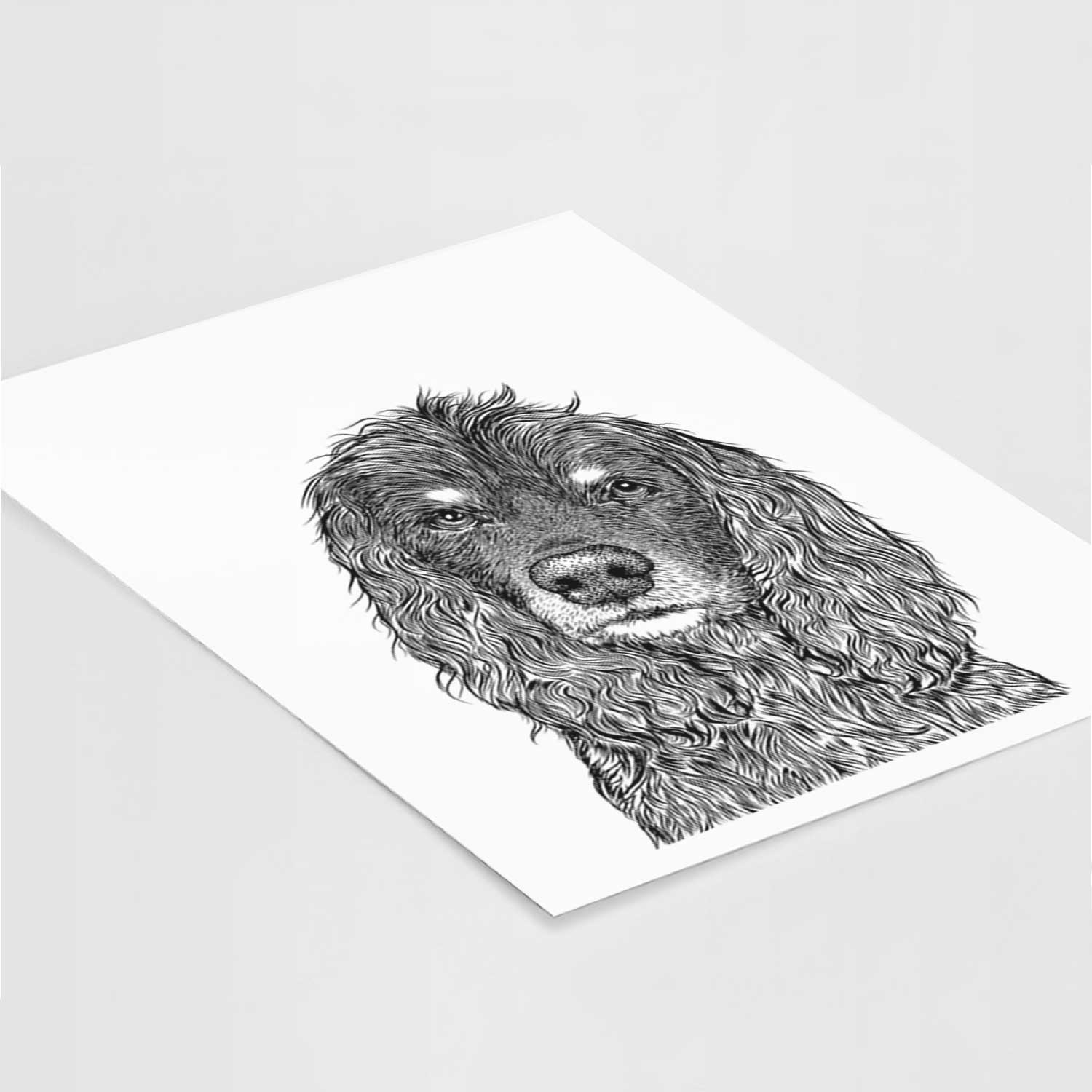 Marley Boy the American Cocker Spaniel Art Print