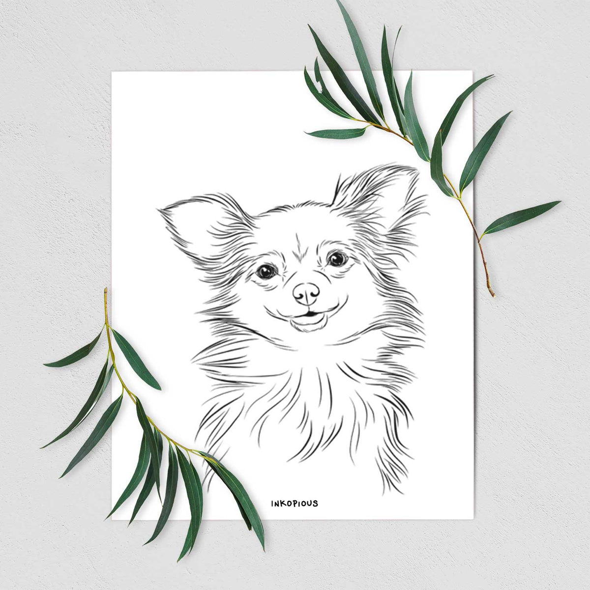 Marzi the Long Haired Chihuahua Art Print