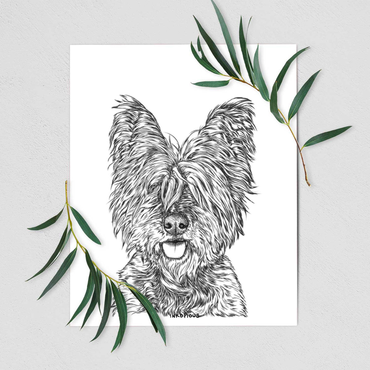 McDuff the Cairn Terrier Art Print