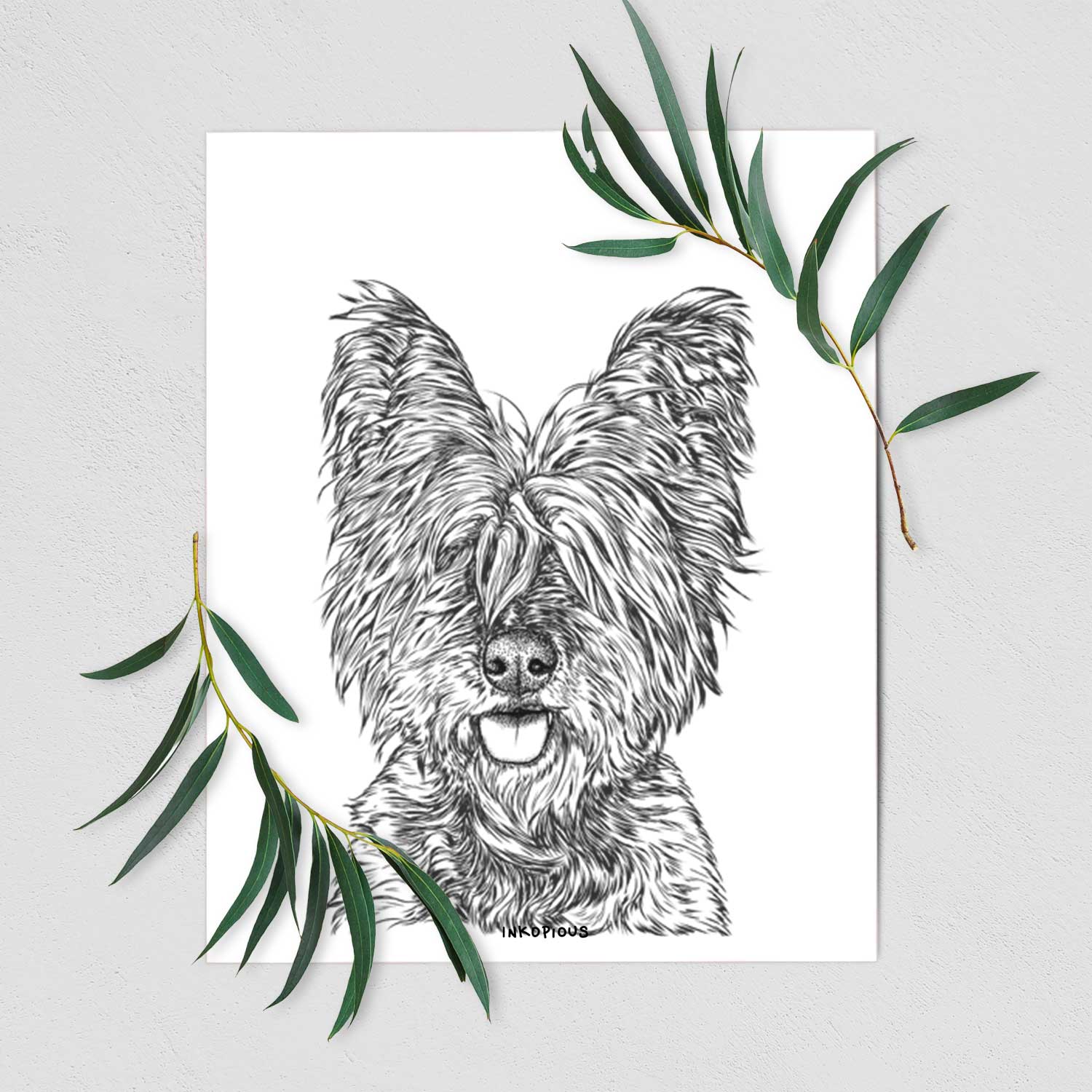 McDuff the Cairn Terrier Art Print