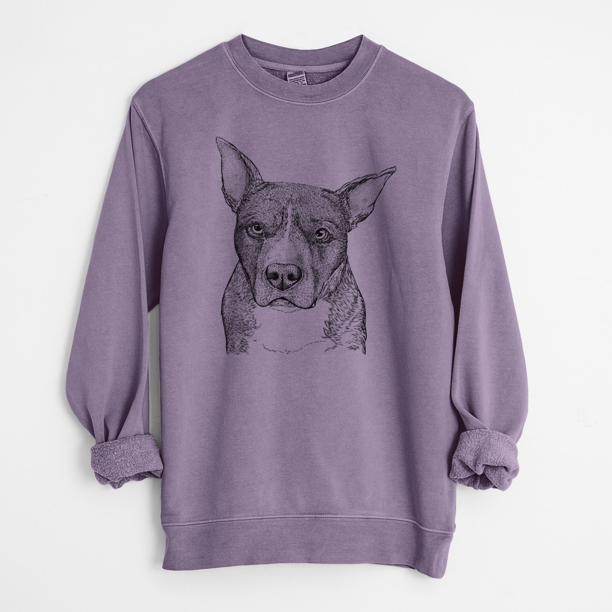 Bare Mercy the Pitbull - Unisex Pigment Dyed Crew Sweatshirt