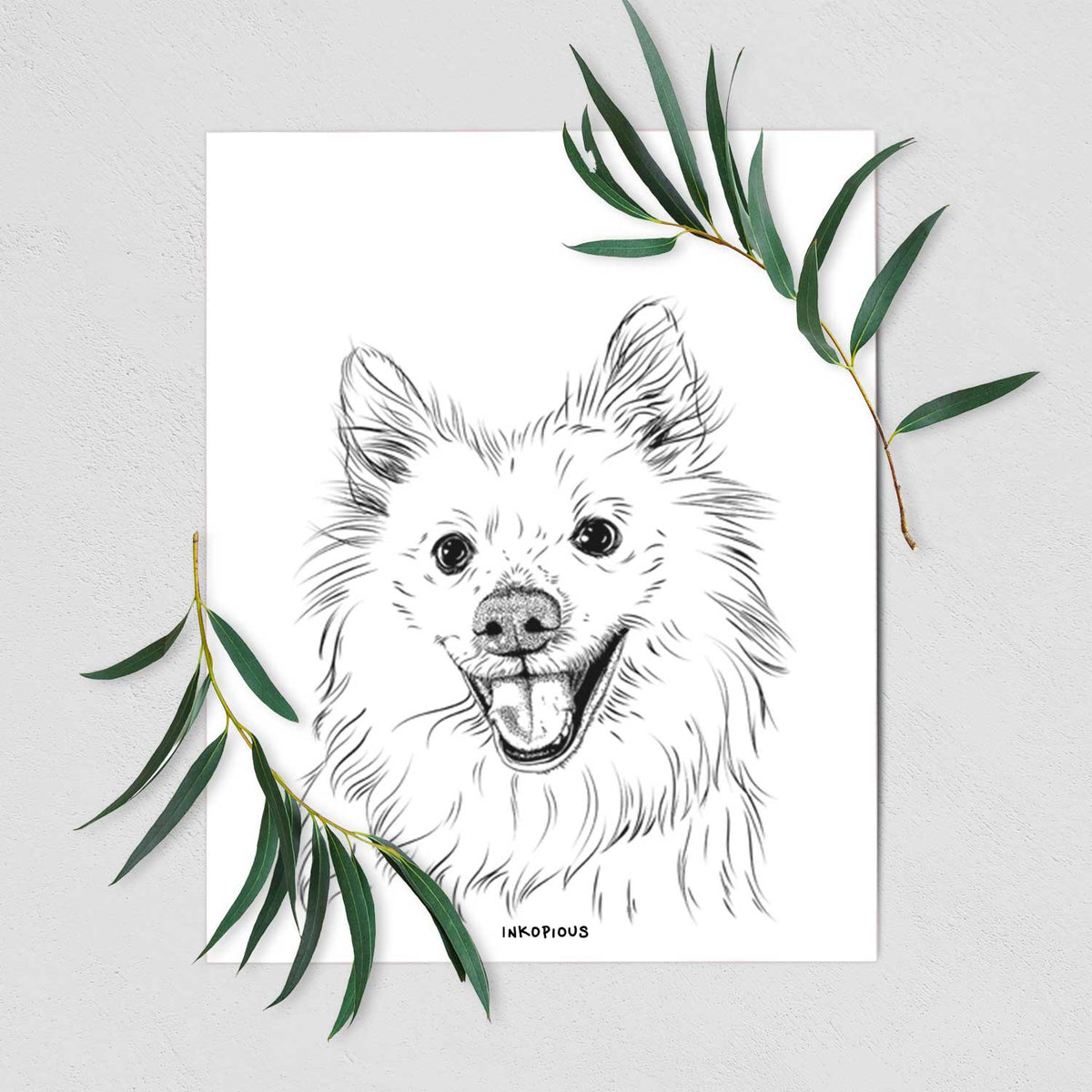 Miki the American Eskimo Art Print