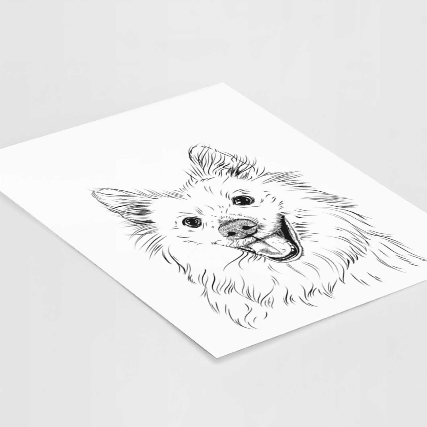 Miki the American Eskimo Art Print