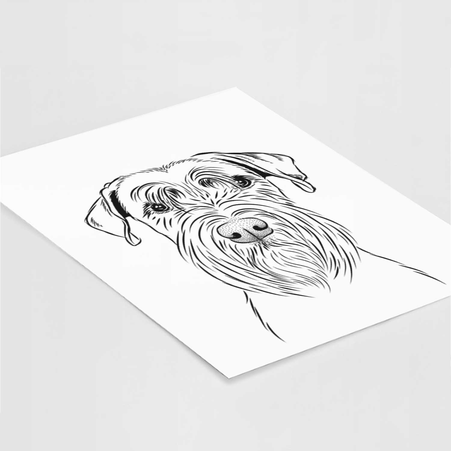 Milton the Standard Schnauzer Art Print