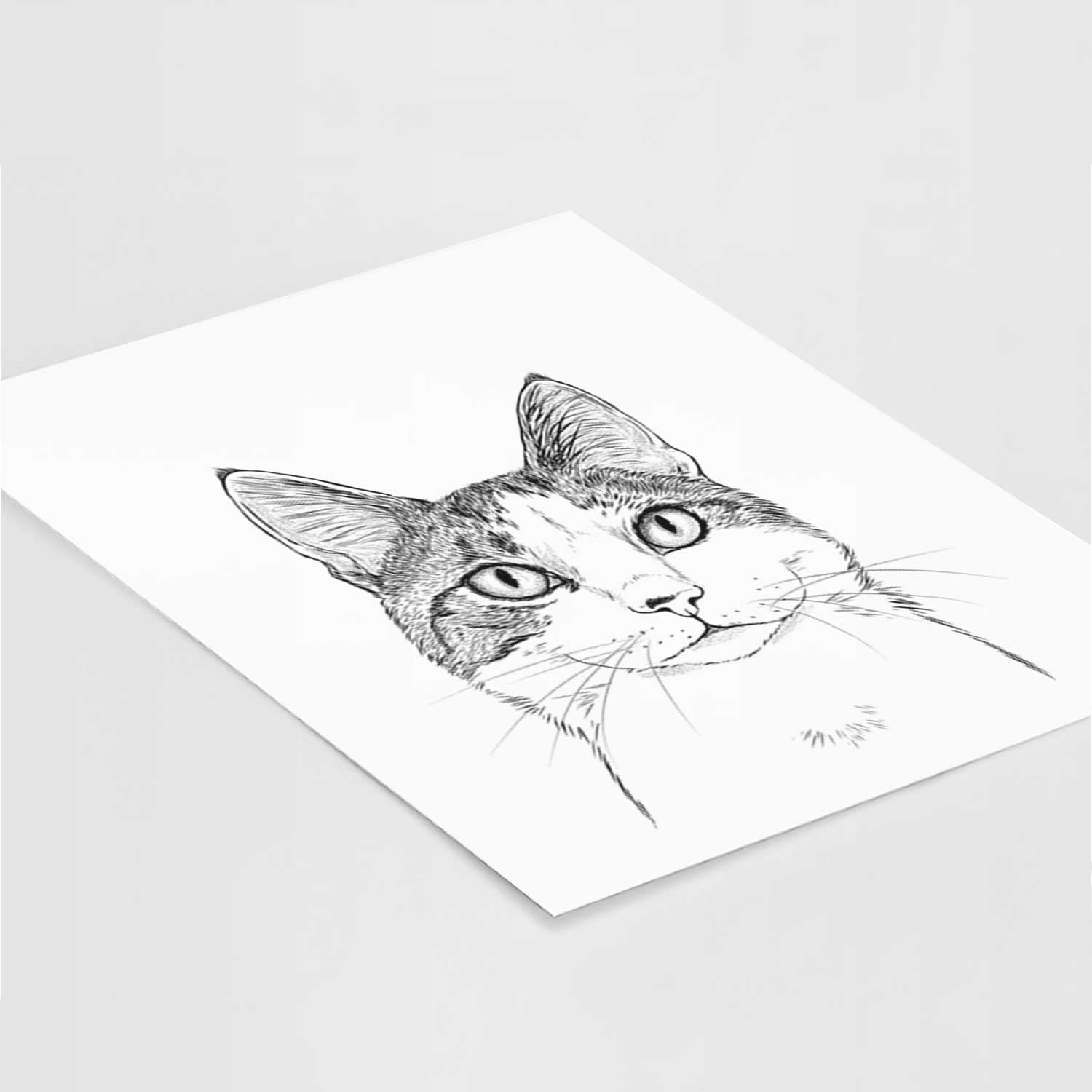 Mini Griffin the Domestic Shorthair Cat Art Print