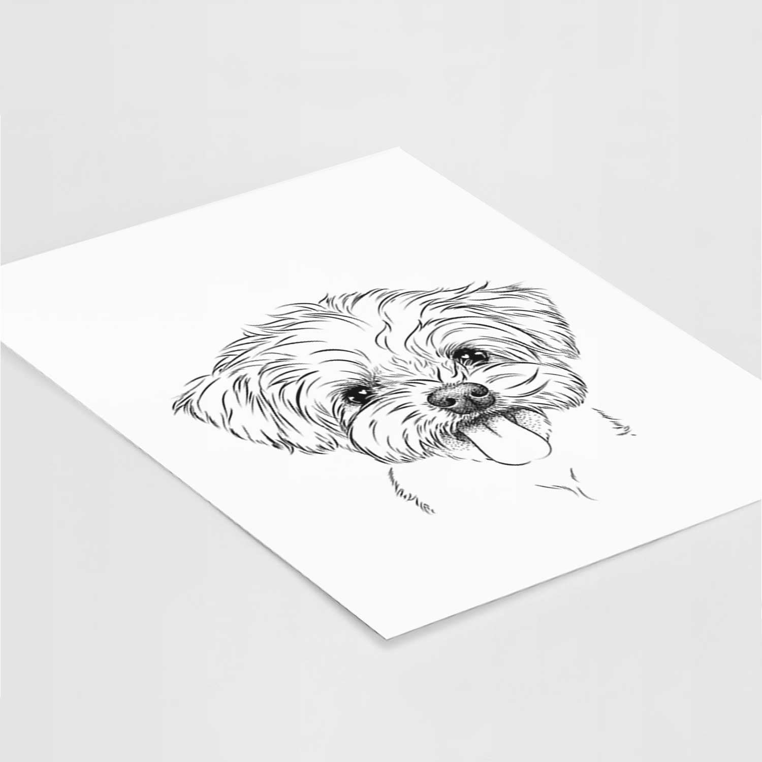 Mochi the Maltese Art Print
