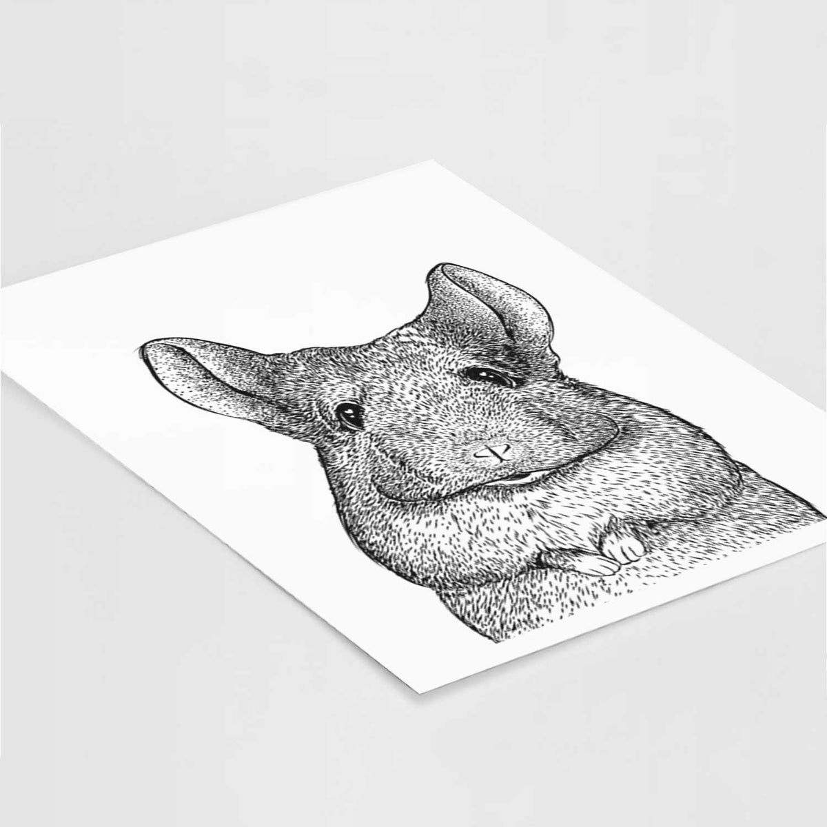 Mojo the Chinchilla Art Print