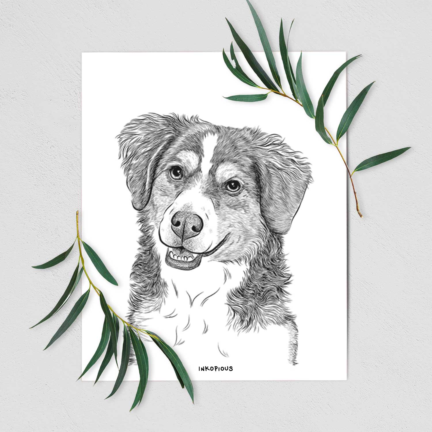 Molly the Miniature Bernedoodle Art Print