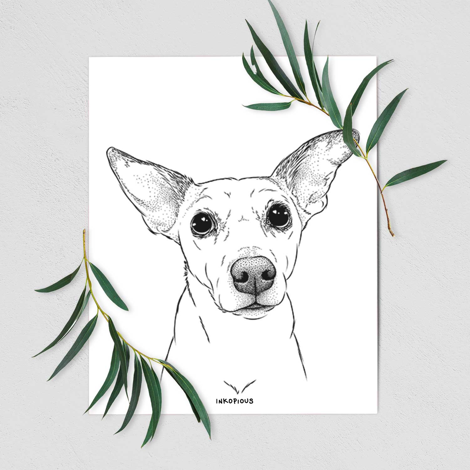 Molly the Jack Russell Terrier Art Print