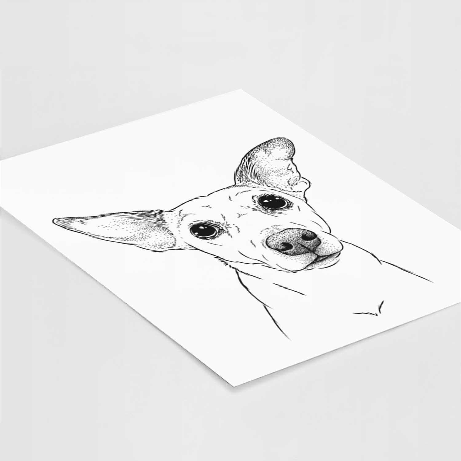 Molly the Jack Russell Terrier Art Print