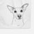 Molly the Jack Russell Terrier Decorative Hand Towel