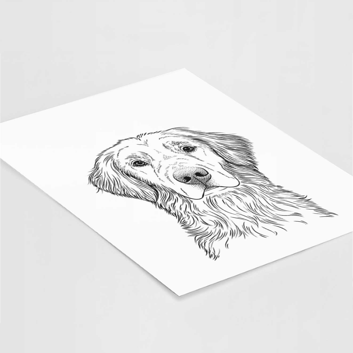 Moose the Field Golden Retriever Art Print