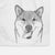 Mothra the Shiba Inu Decorative Hand Towel