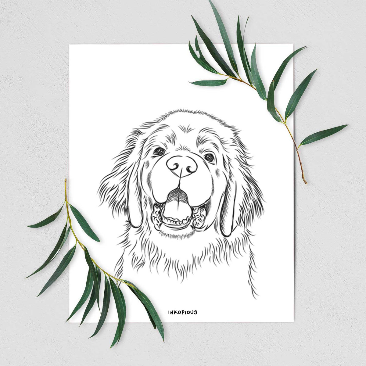 Mozart the Newfoundland Art Print