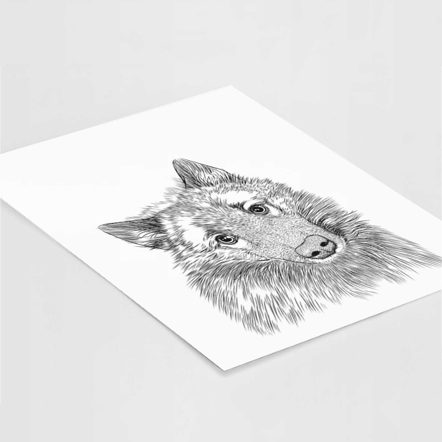 Mr. Maverick the Keeshond Art Print