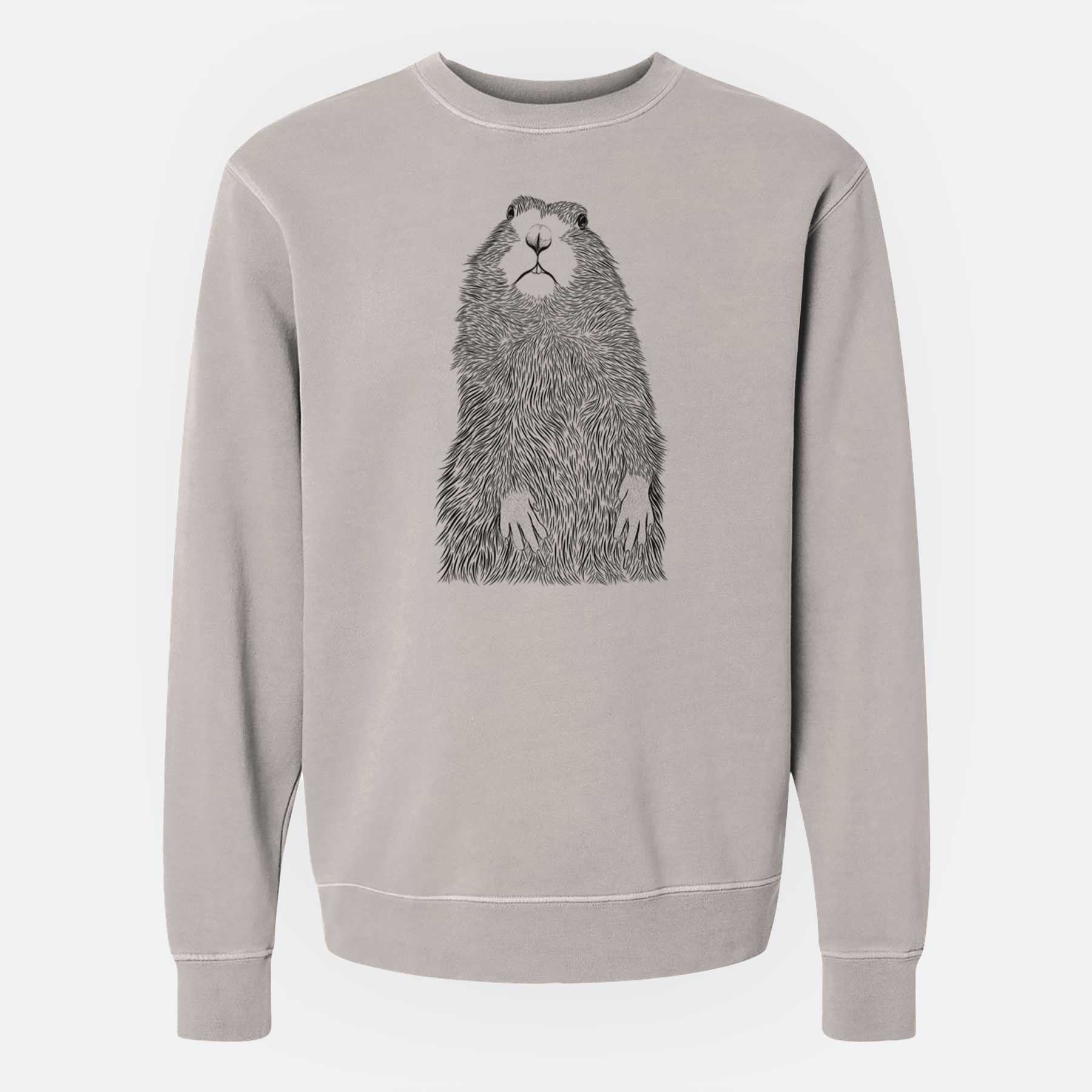 Bare Mr. Otis the Prairie Dog - Unisex Pigment Dyed Crew Sweatshirt