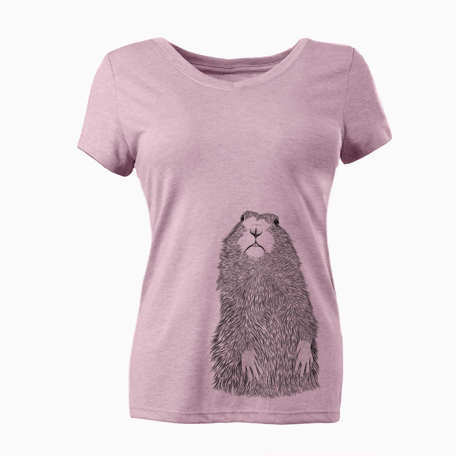 Bare Mr. Otis the Prairie Dog - Women's V-neck Shirt