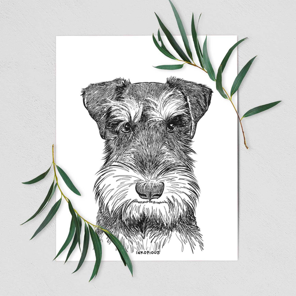 Murphy the Mini Schnauzer Art Print