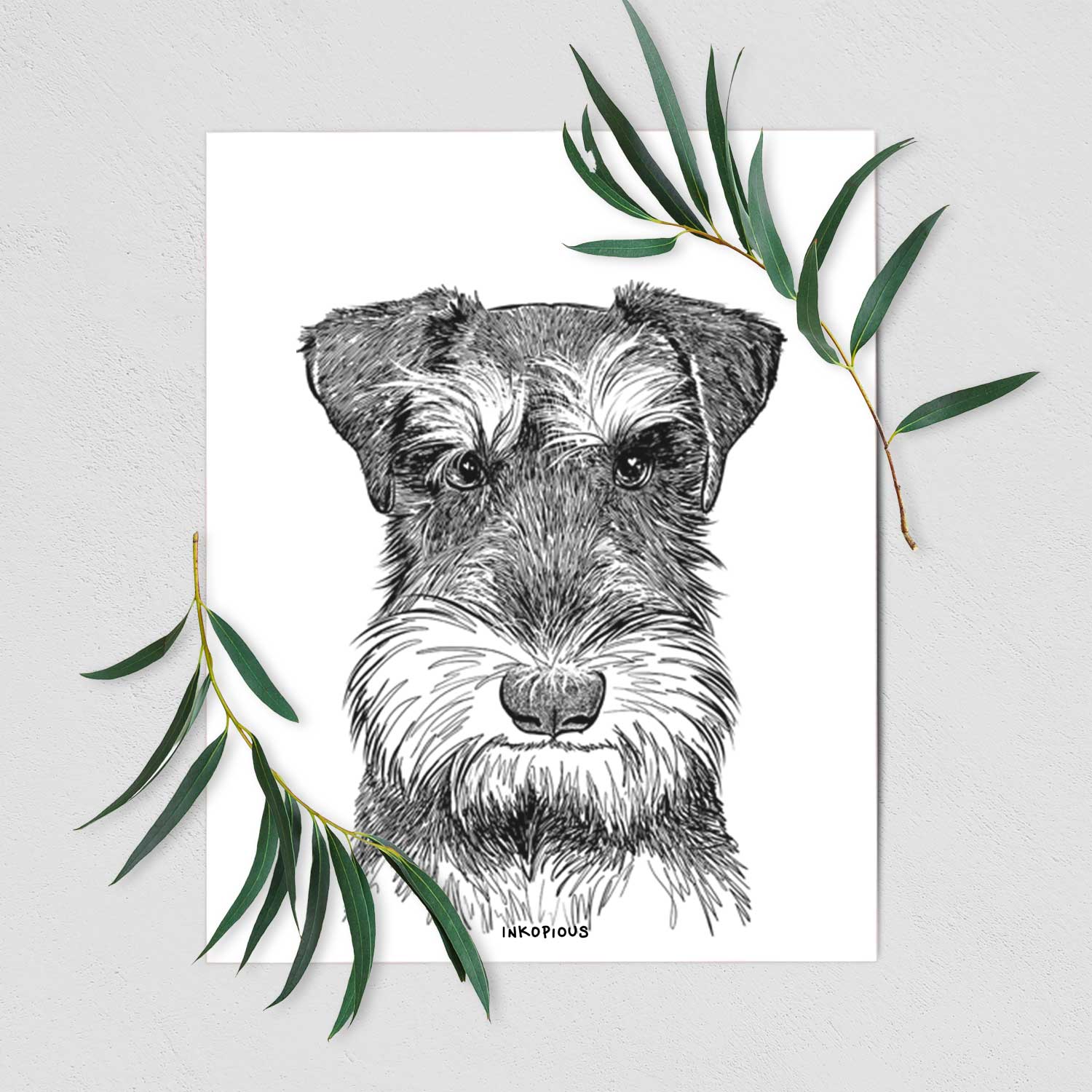 Murphy the Mini Schnauzer Art Print