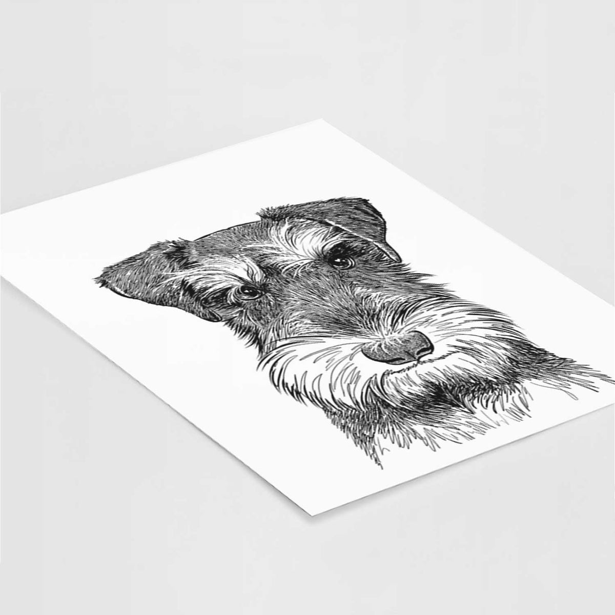 Murphy the Mini Schnauzer Art Print