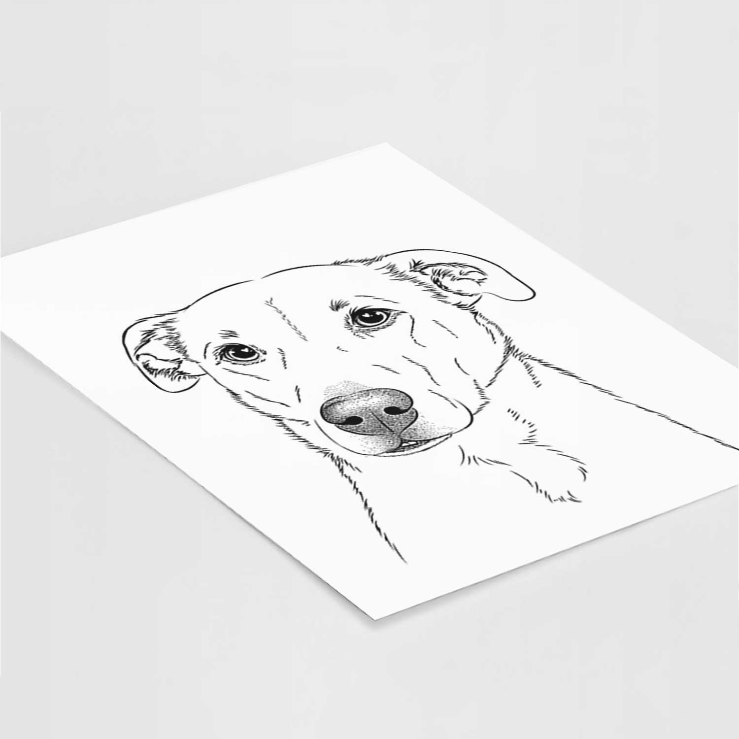 Nala the American Staffordshire Terrier Art Print