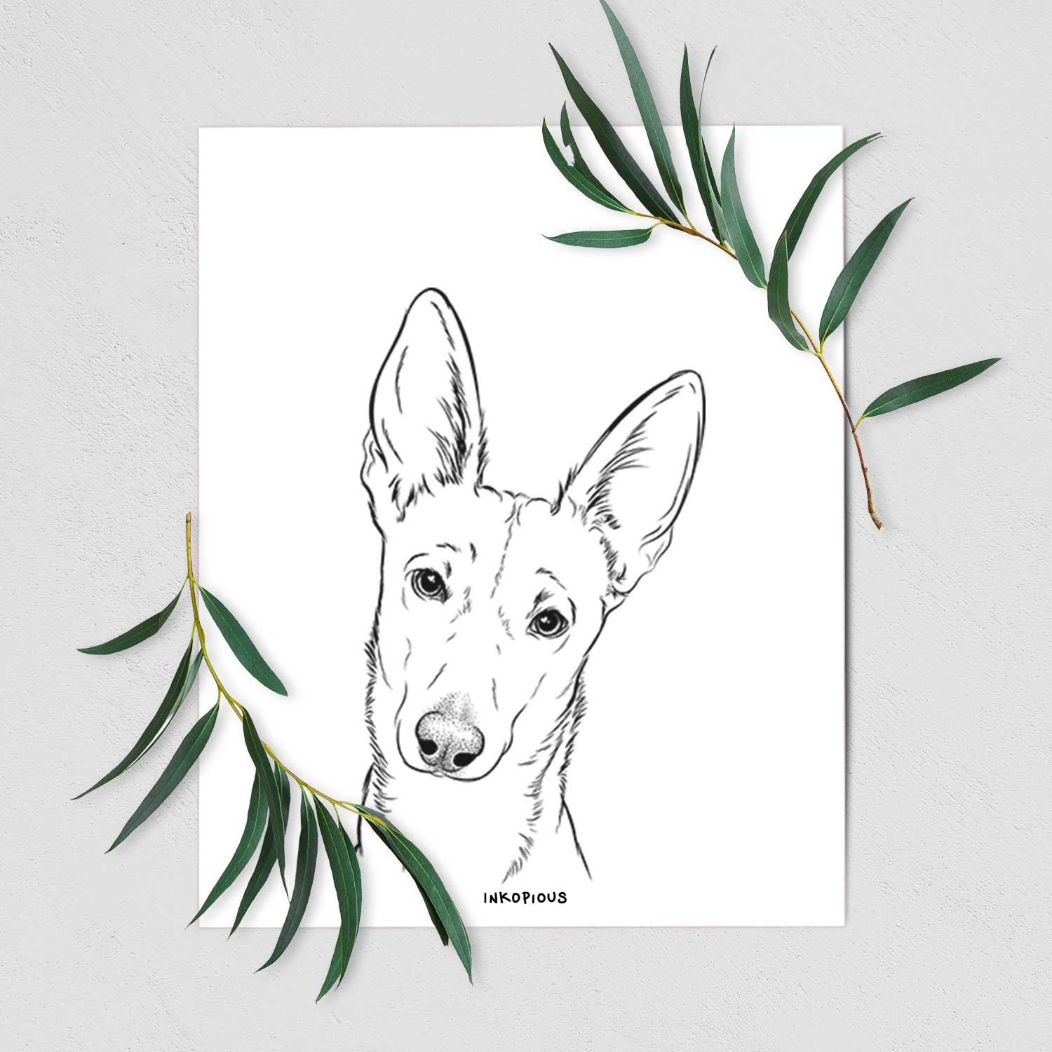 Nala the Carolina Dog Art Print