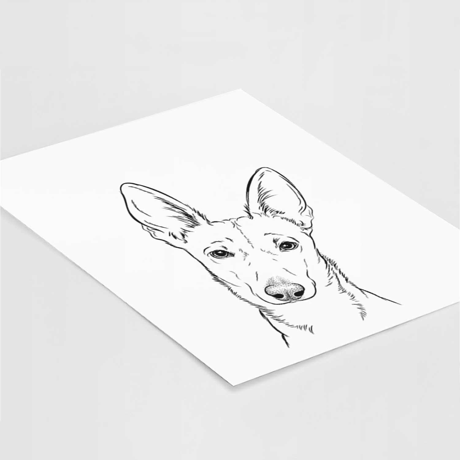 Nala the Carolina Dog Art Print