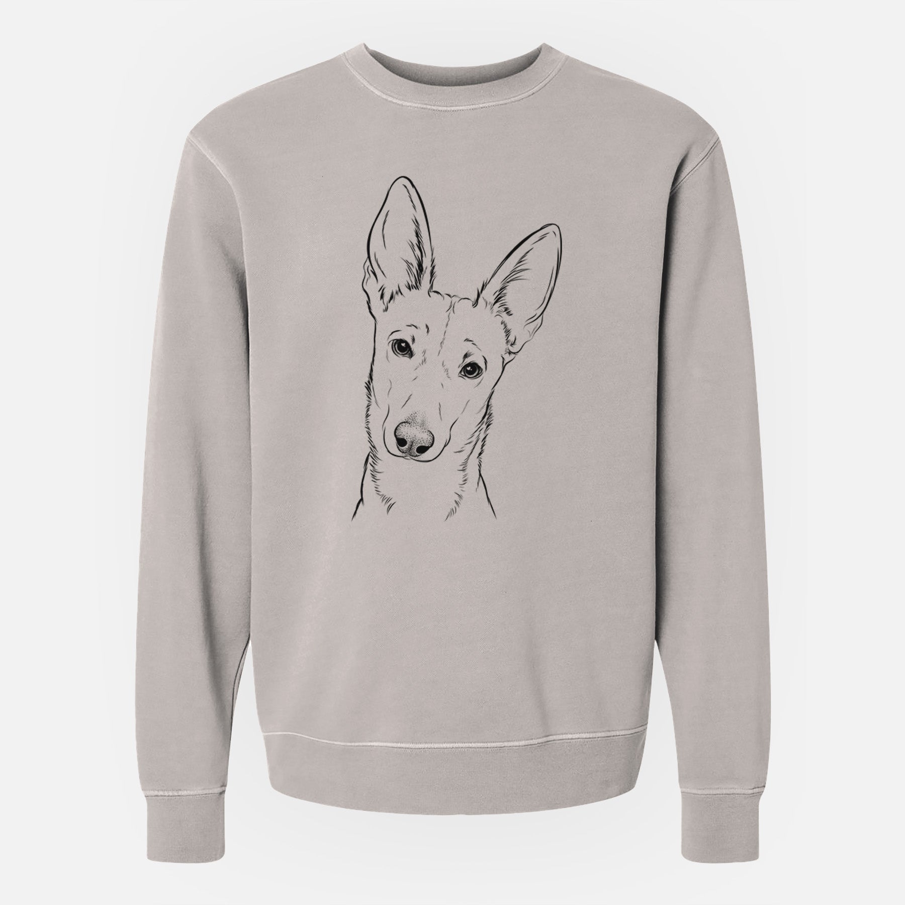 Bare Nala the Carolina Dog - Unisex Pigment Dyed Crew Sweatshirt