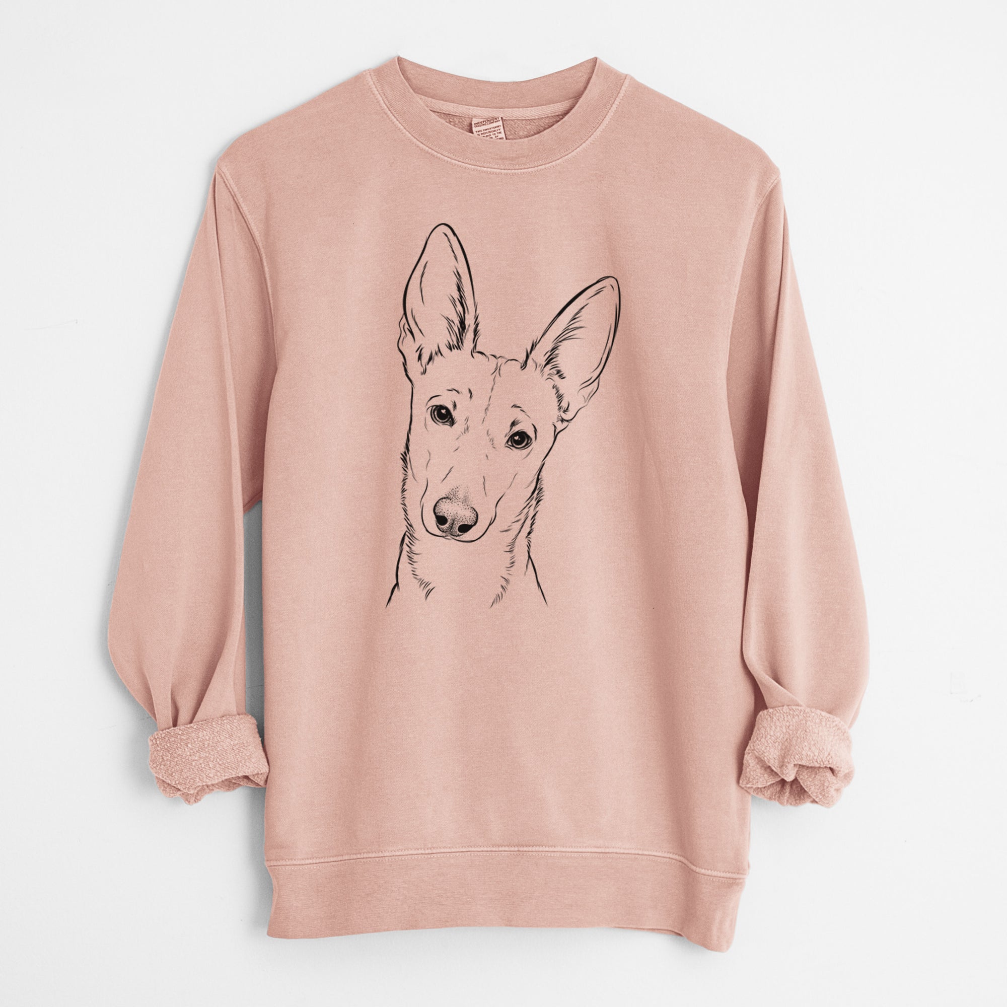 Bare Nala the Carolina Dog - Unisex Pigment Dyed Crew Sweatshirt