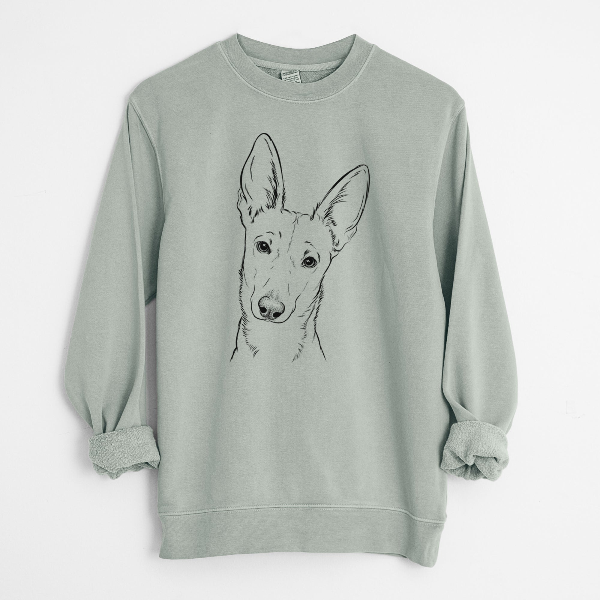 Bare Nala the Carolina Dog - Unisex Pigment Dyed Crew Sweatshirt