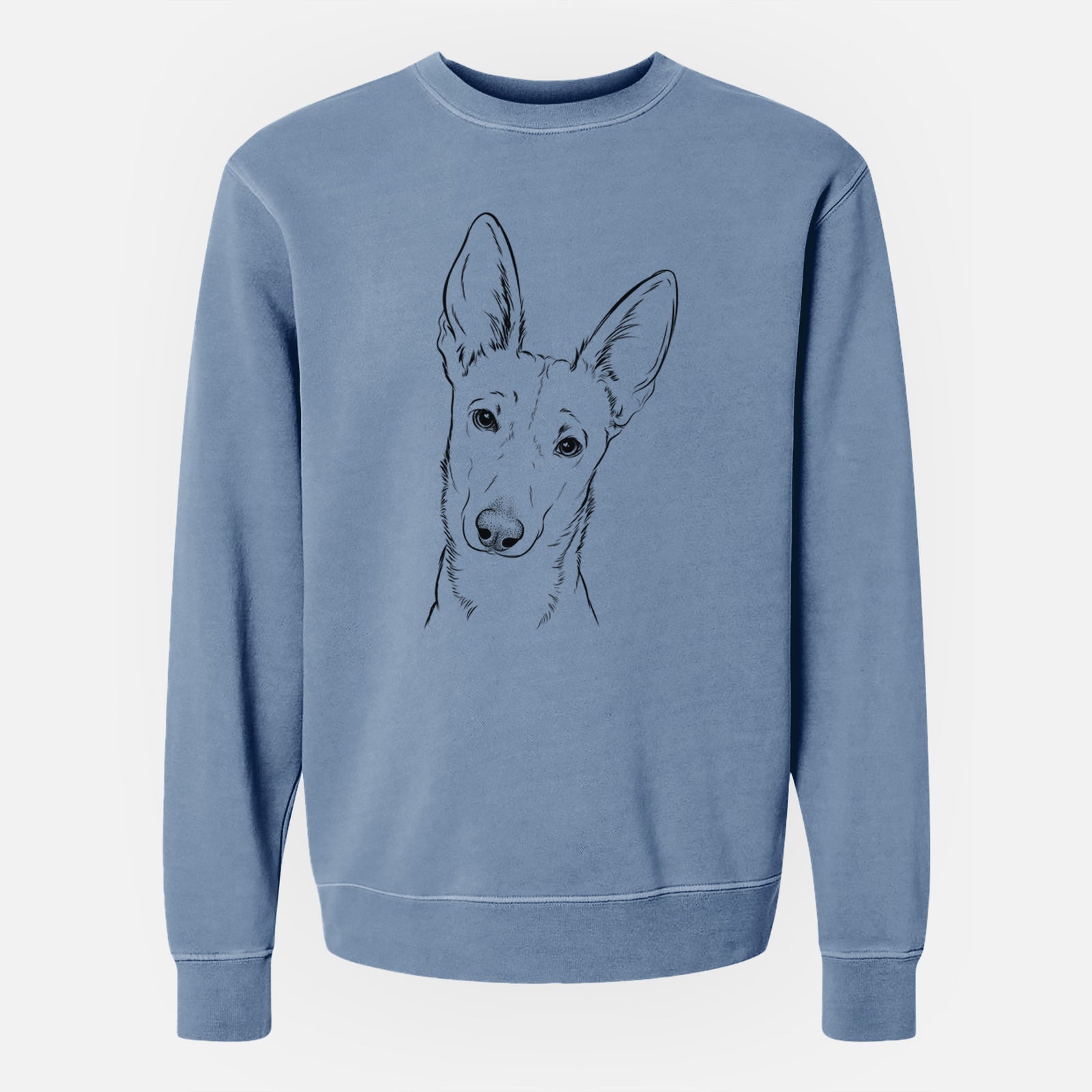 Bare Nala the Carolina Dog - Unisex Pigment Dyed Crew Sweatshirt