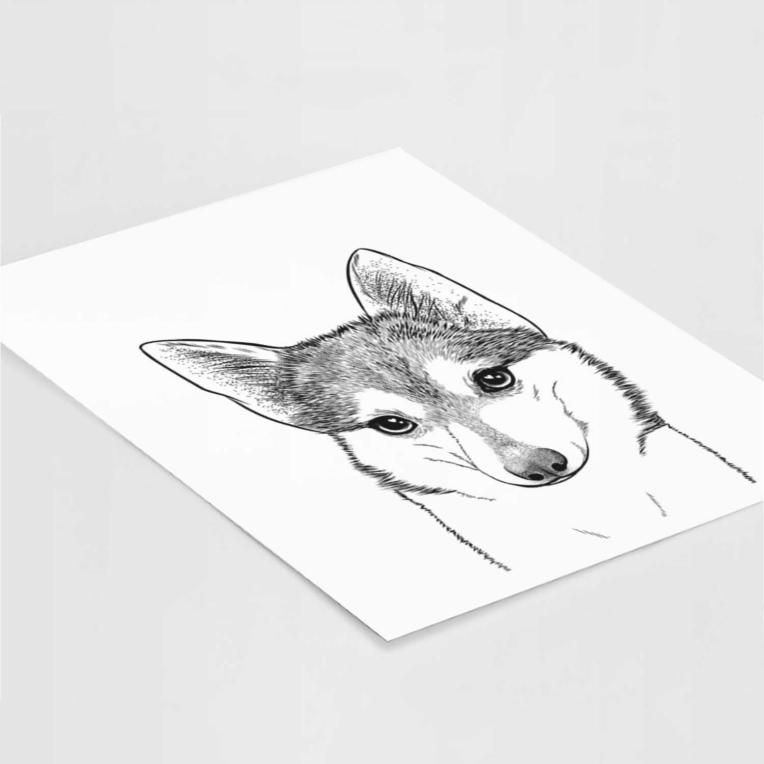 Nami the Alaskan Klee Kai Art Print