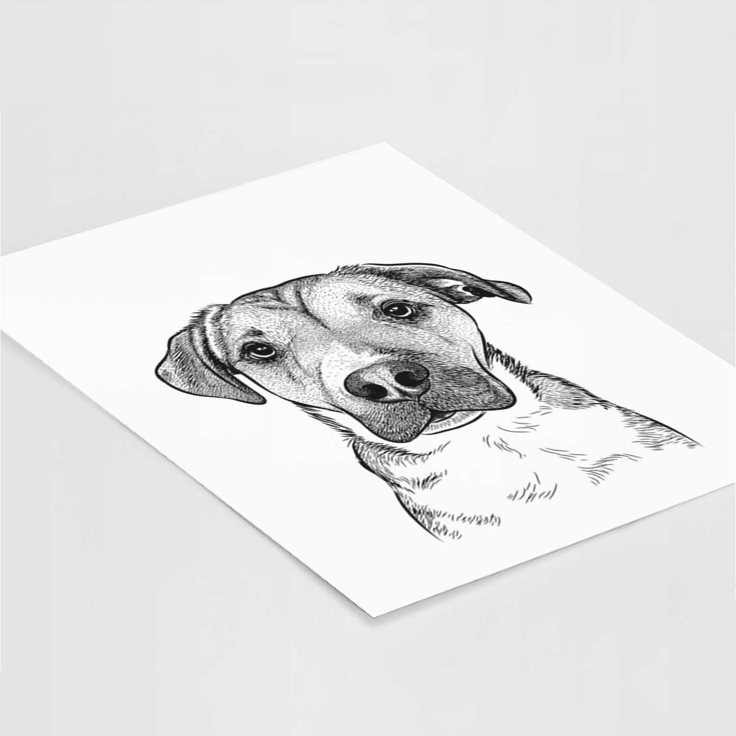 Nemo the Mixed Breed Art Print