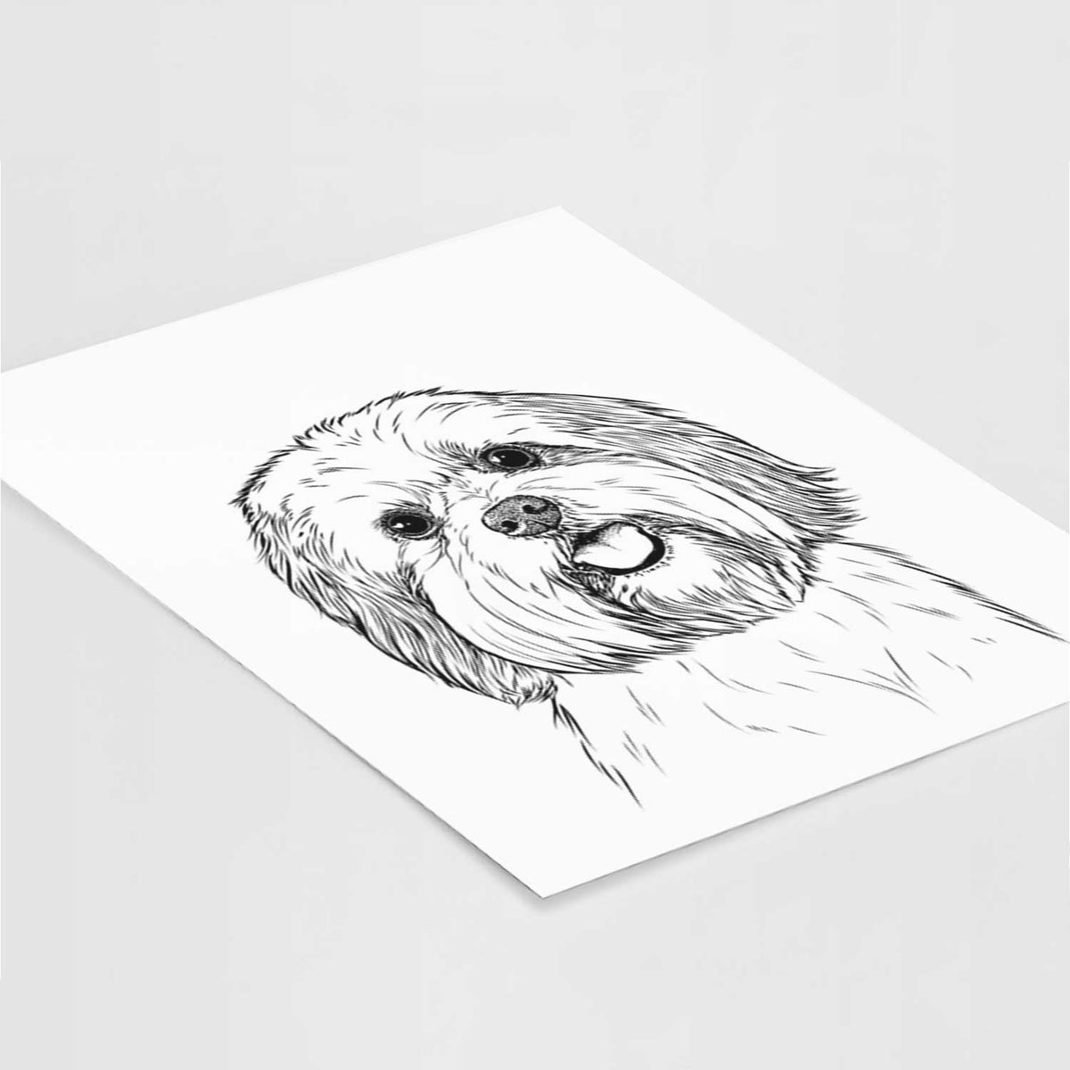 Nikka the Lowchen Art Print