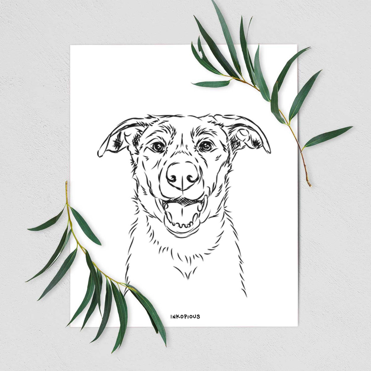 Noah the Smooth Coat Border Collie Art Print