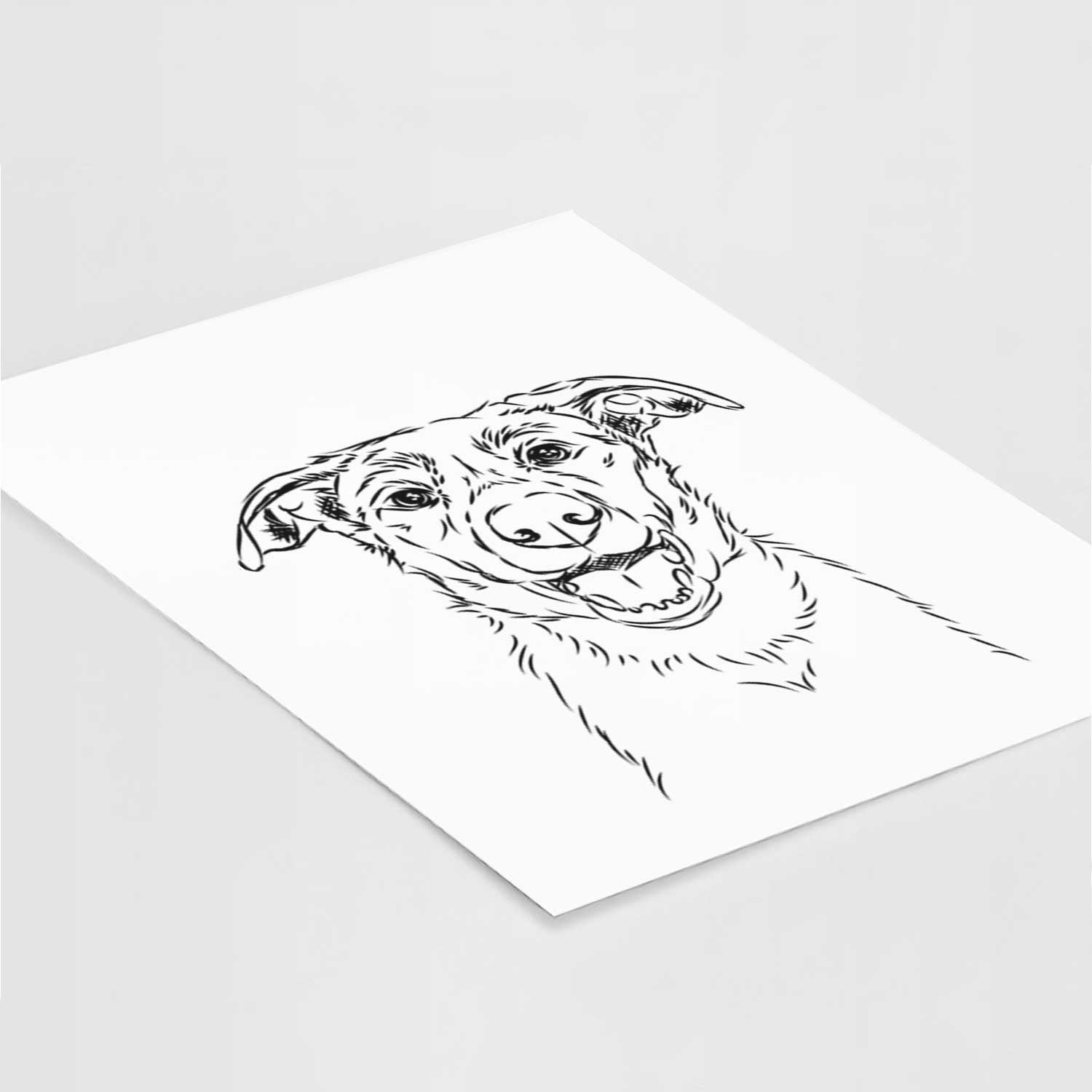 Noah the Smooth Coat Border Collie Art Print