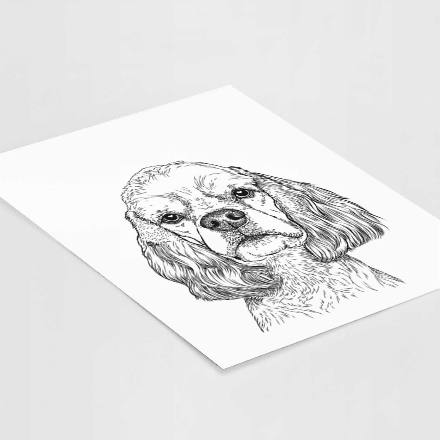 Oakley the American Cocker Spaniel Art Print