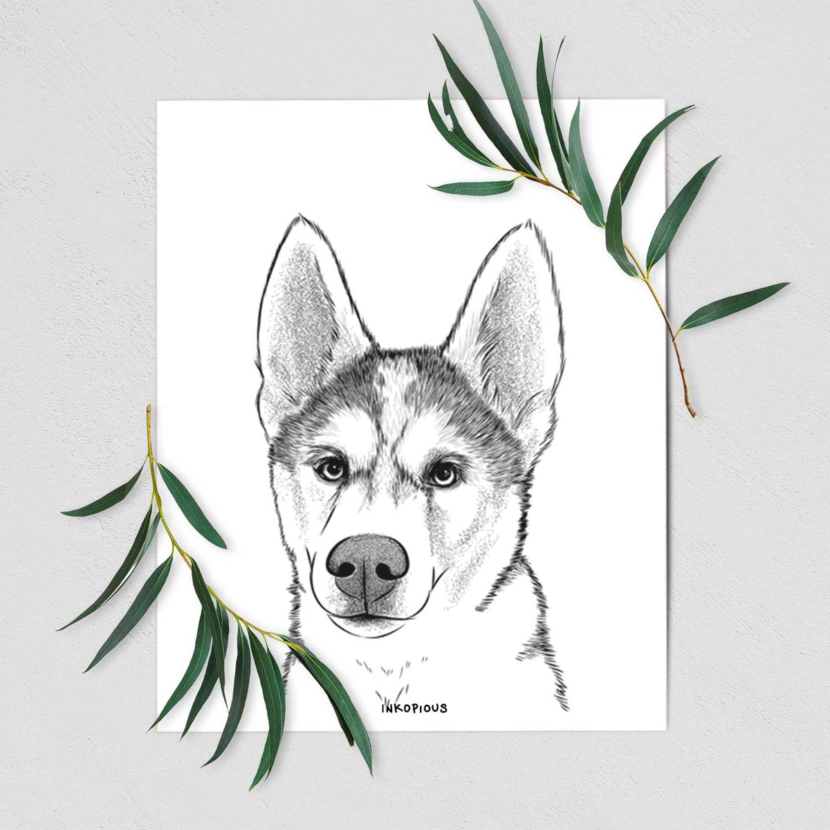 Odin the Siberian Husky Art Print