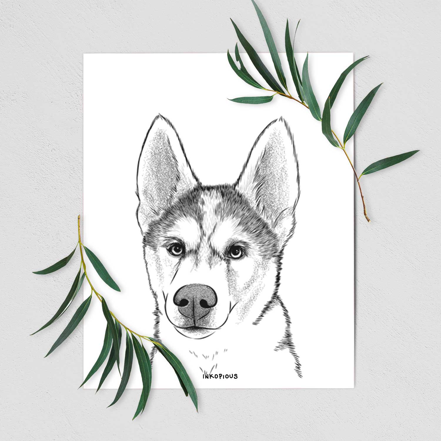 Odin the Siberian Husky Art Print