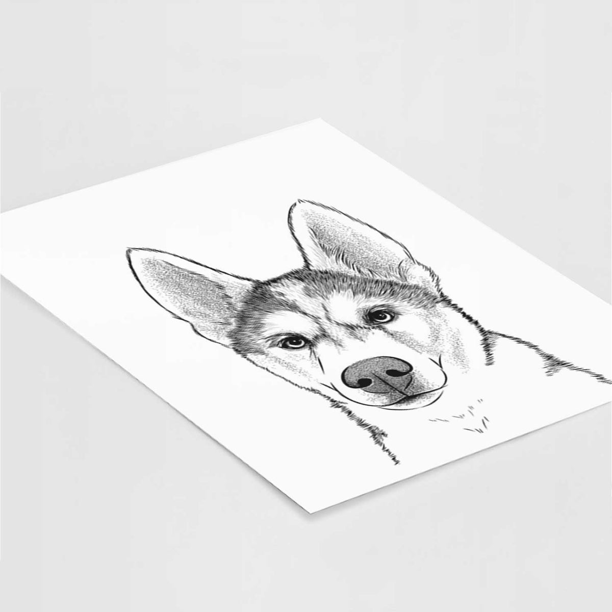 Odin the Siberian Husky Art Print