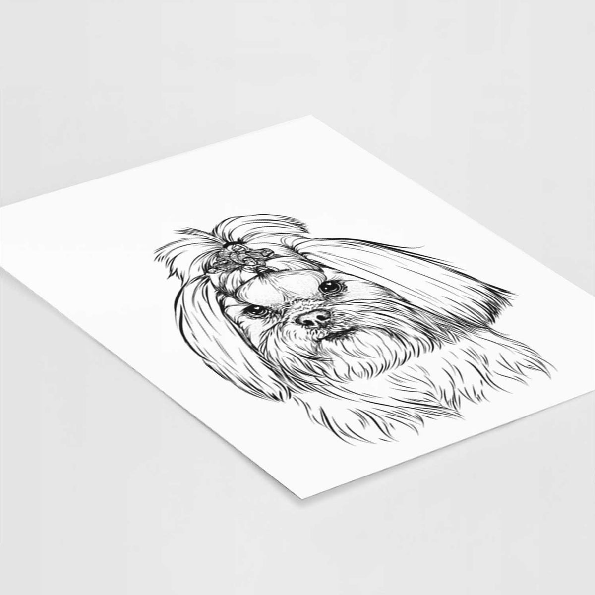 Olga the Shih Tzu Art Print