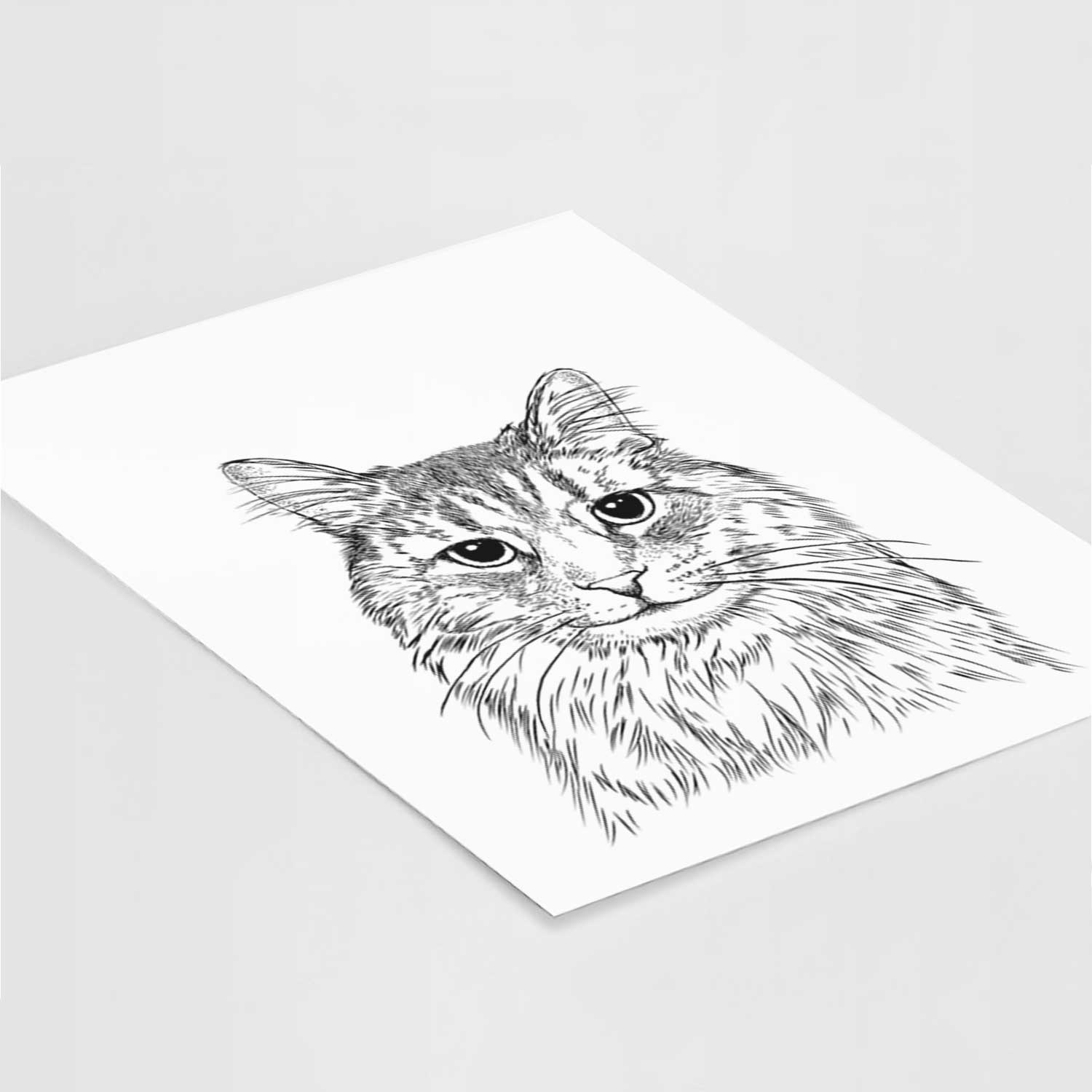 Oliver Fluff the Maine Coon mix Cat Art Print