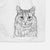 Oliver Fluff the Maine Coon Mix Cat Decorative Hand Towel